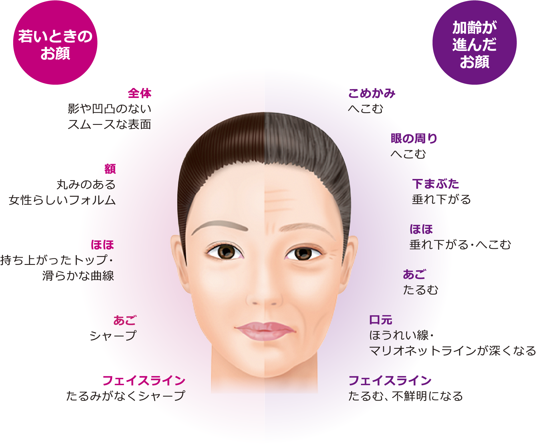 【美品】実践アトラス 美容外科注入治療 実践アトラス 美容外科注入治療 | 征矢野進一 |本 | 通販 | Amazon