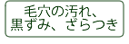 毛穴の汚れ、黒ずみ、ざらつき