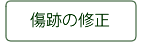 傷跡の修正