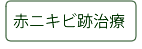 赤ニキビ跡治療