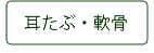 耳たぶ・軟骨