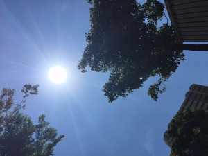 image1 (2)